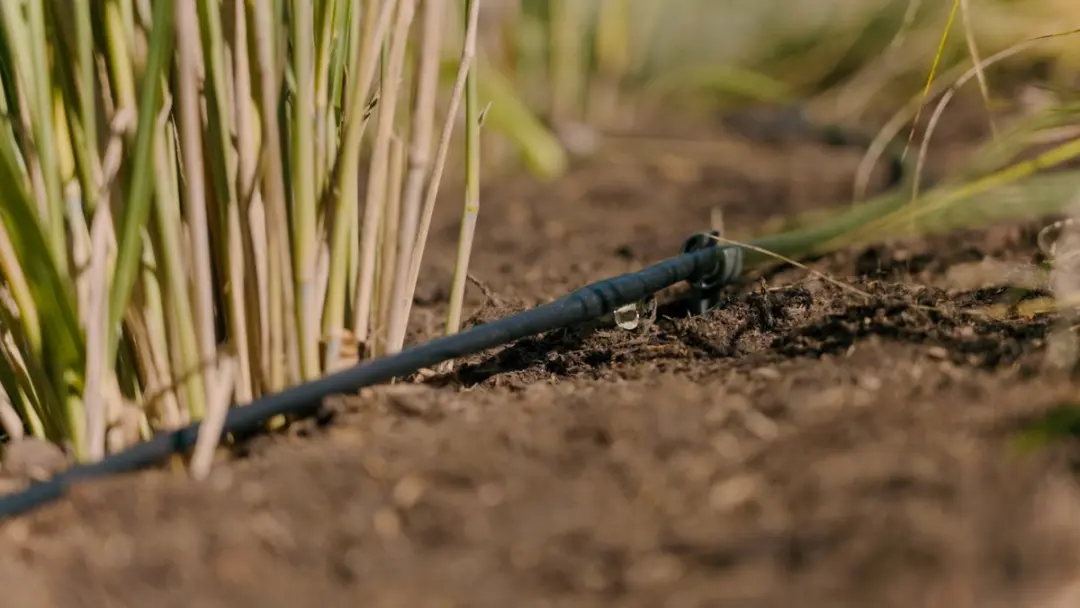 Gardena Micro Drip System Startset - 15m Druppelsysteem - 15 Planten - afbeelding 5 van 6