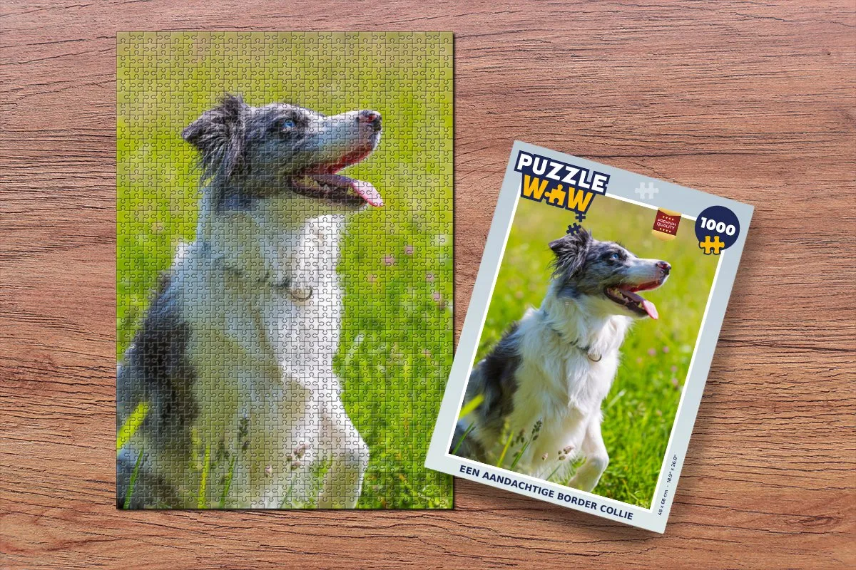 PuzzleWow Border Collie Legpuzzel 1000 Stuks - Multicolor