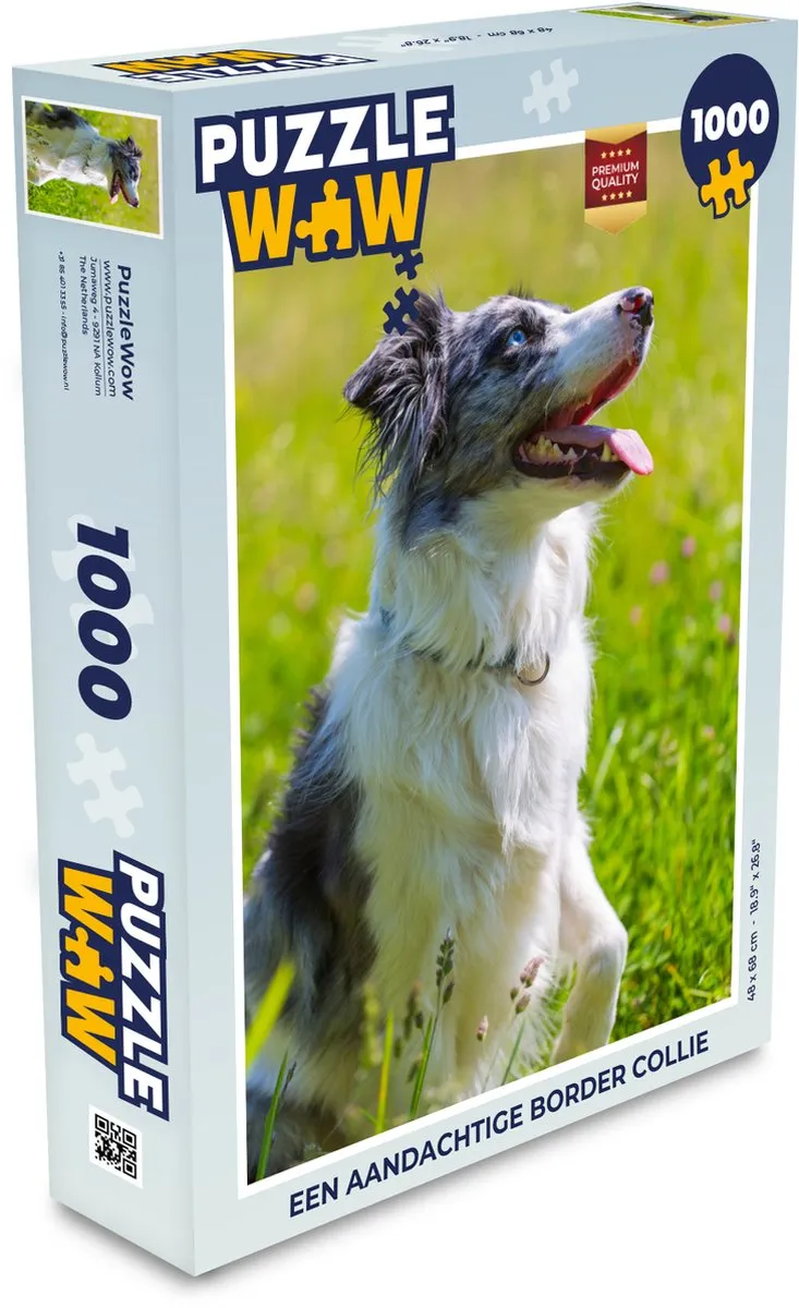 PuzzleWow Border Collie Legpuzzel 1000 Stuks - Multicolor