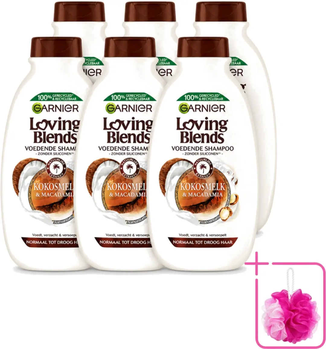 6 x Garnier