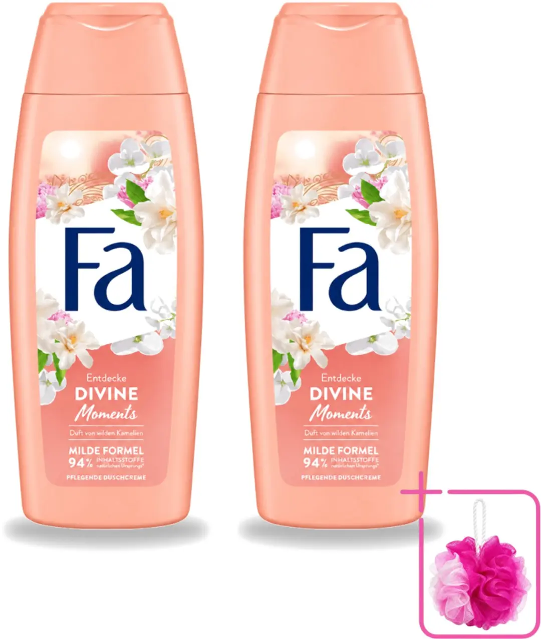 2 x Fa