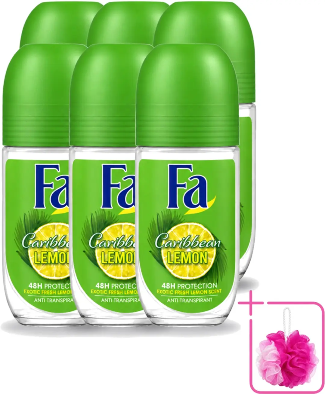 6 x Fa