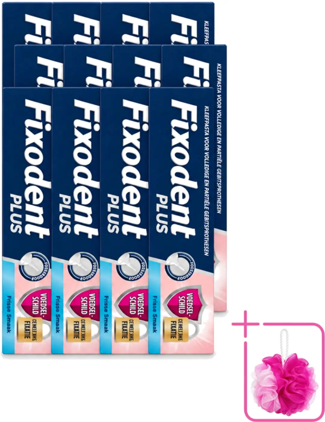 12 x Fixodent Plus