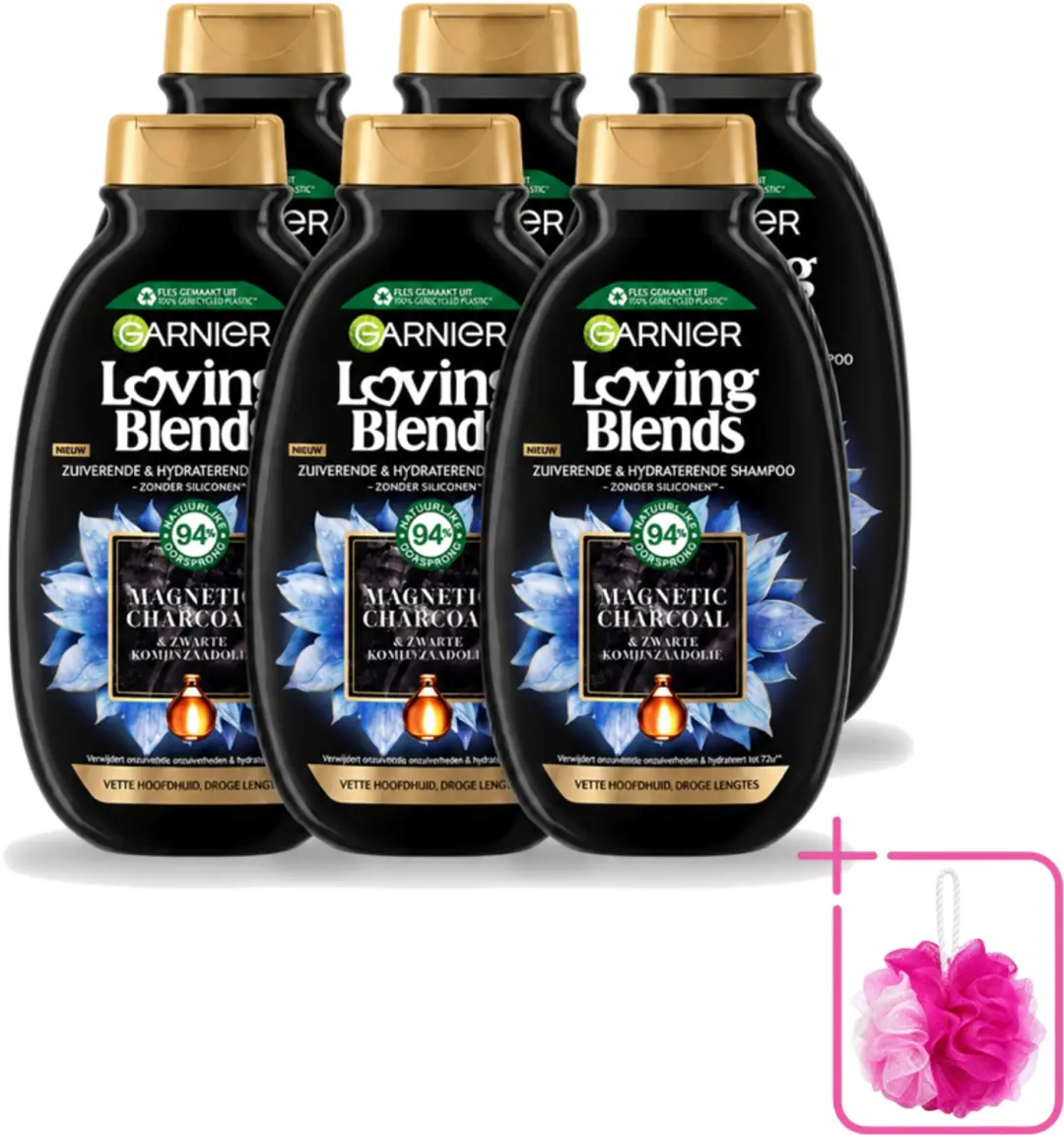 6 x Garnier