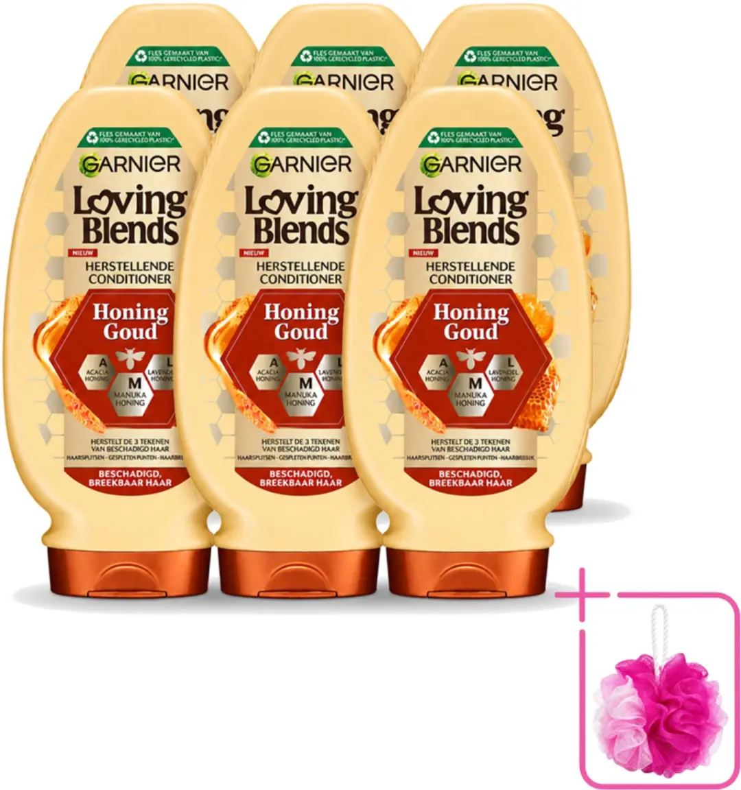 6 x Garnier