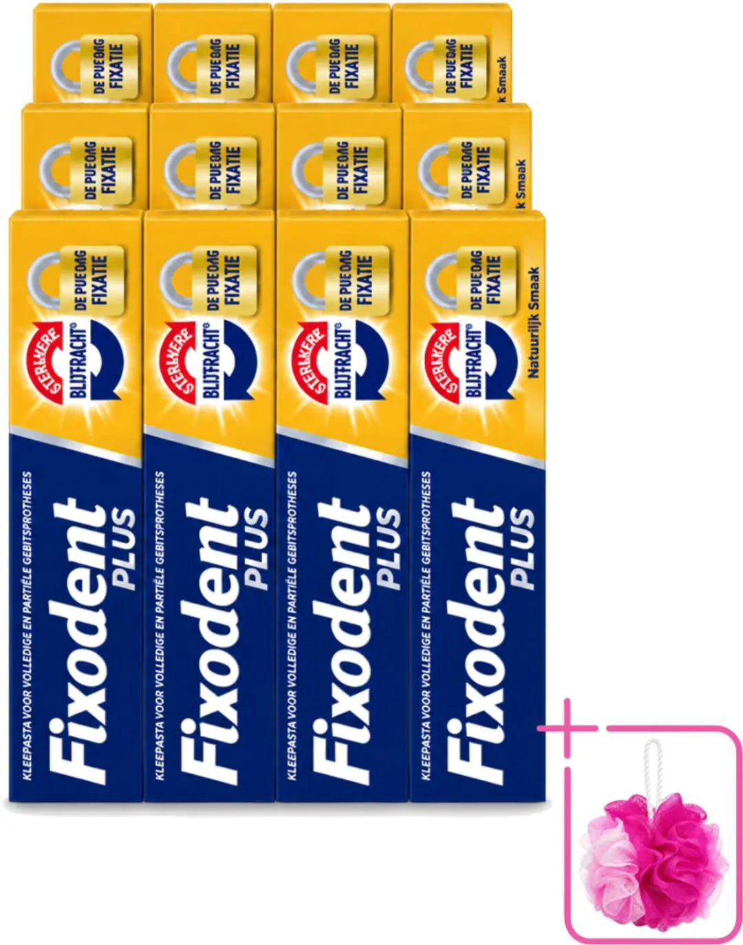 12 x Fixodent Plus