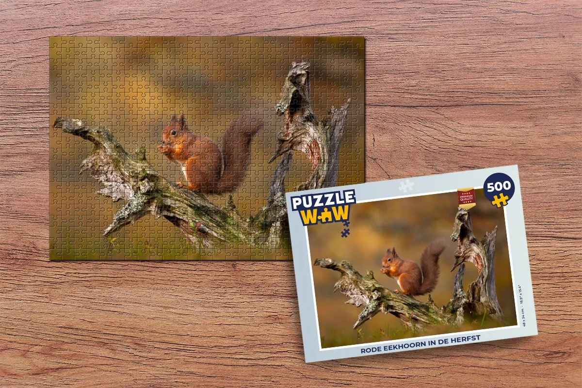 PuzzleWow Legpuzzel Rode Eekhoorn Herfst 500 Stuks - Multicolor