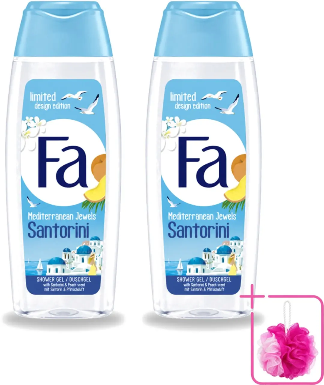 2 x Fa