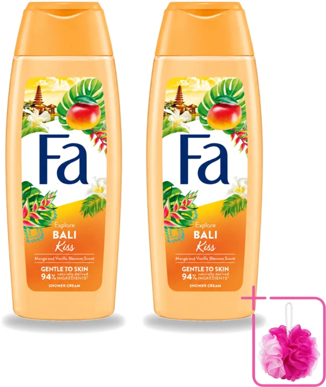 2 x Fa