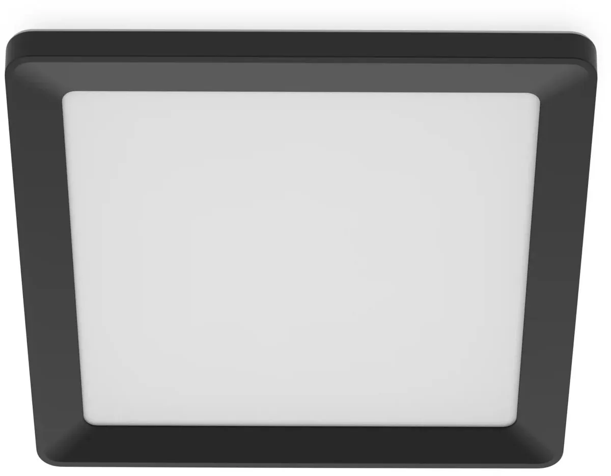 Philips Valen Plafondlamp 17W