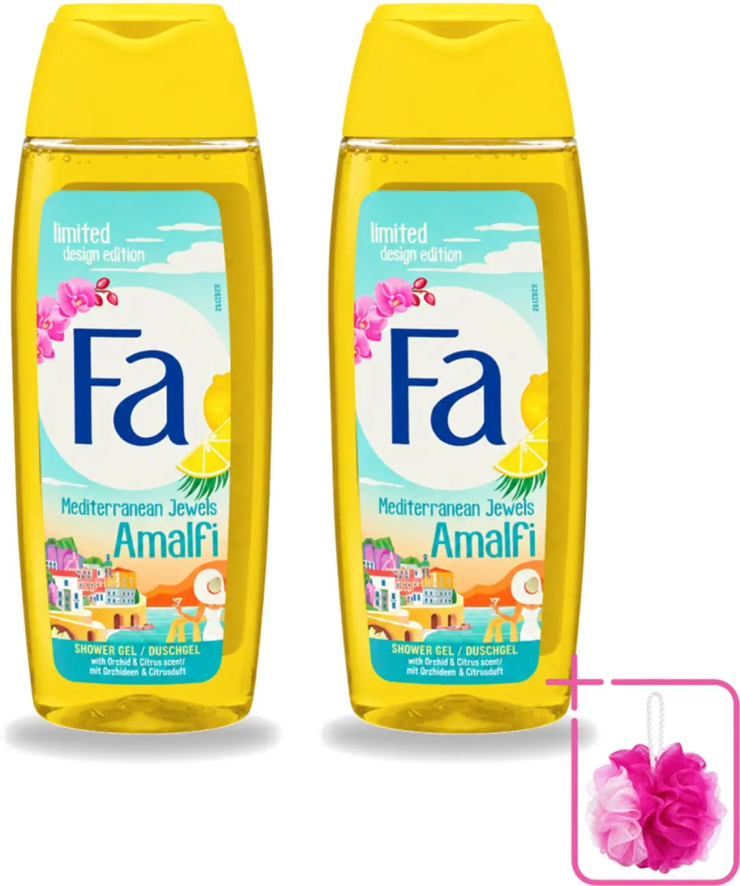 2 x Fa