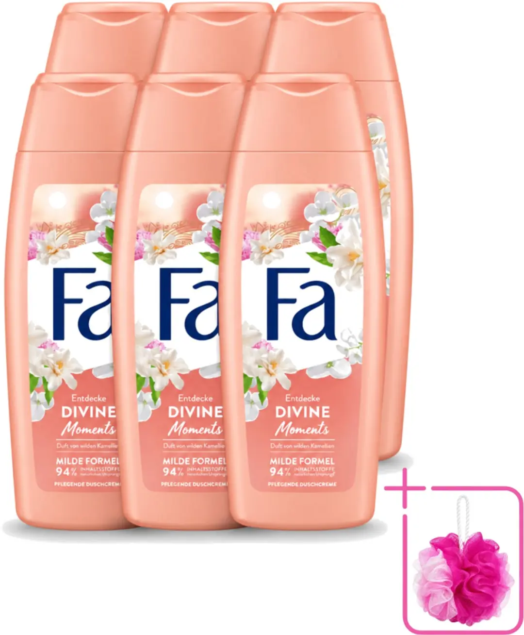 6 x Fa