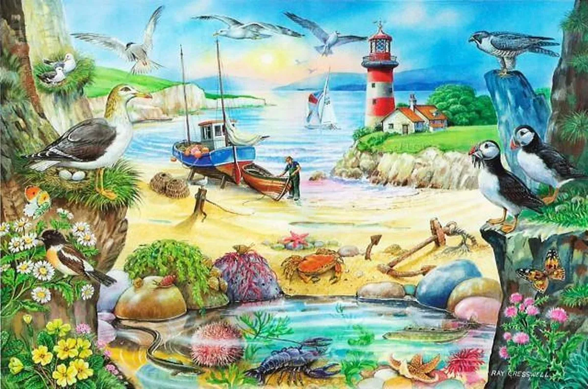 House Of Puzzles Smugglers Cove Legpuzzel 1000 Stuks
