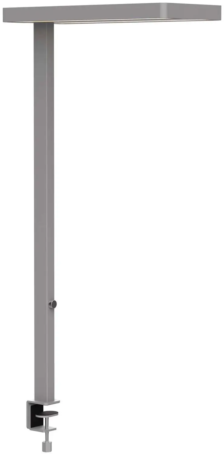 MAULjuvis Bureaulamp LED 34W