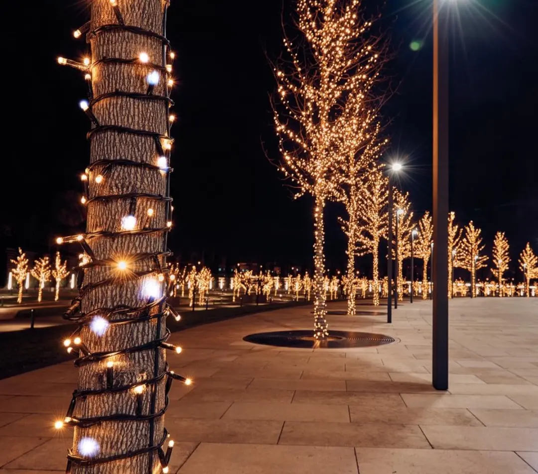 Anna's Collection Connect De Luxe 100Led Warm Wit