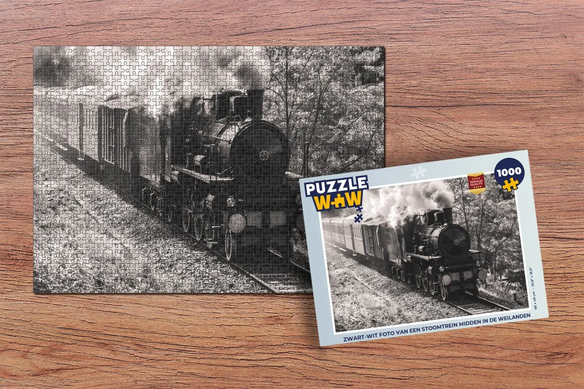 PuzzleWow Stoomtrein Puzzel 1000 Stuks - Multicolor