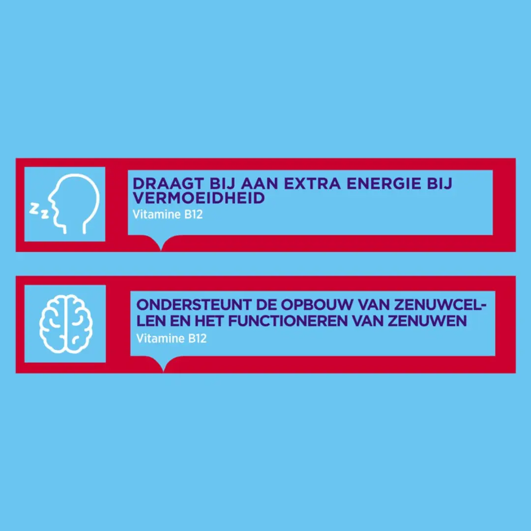 Dagravit Vitamine B12 1000mcg Smelttabletten - 300 Stuks