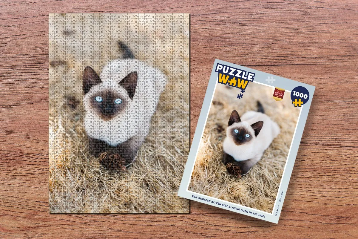 PuzzleWow Legpuzzel Siamese Kitten 1000 Stuks - Multicolor