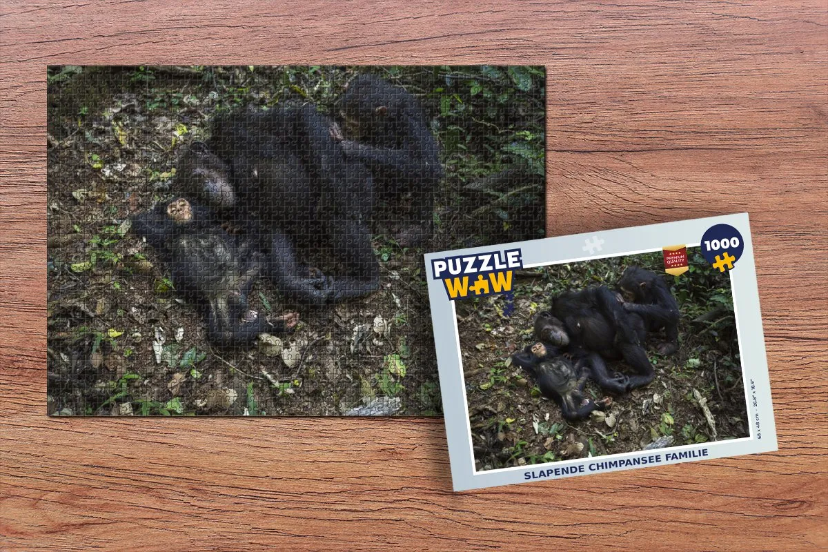 PuzzleWow Apen Slapen Bos Legpuzzel 1000 Stuks - Multicolor