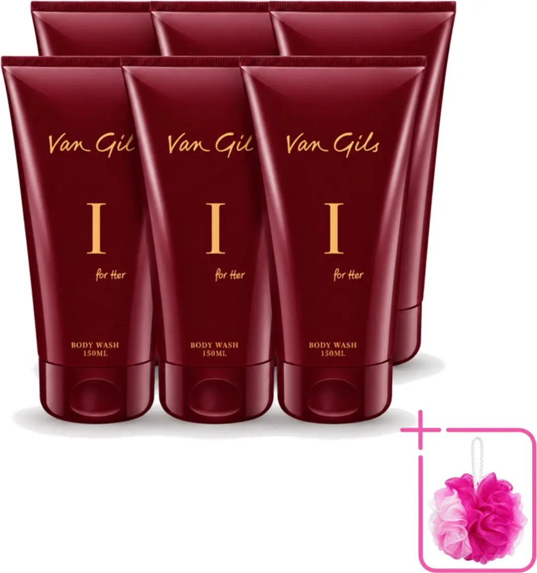 6 x Van Gils