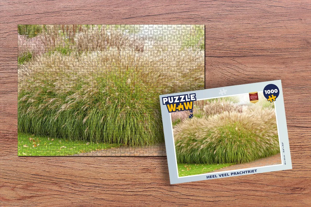 PuzzleWow Legpuzzel 1000 Stuks Multicolor