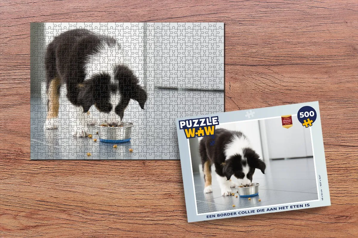 PuzzleWow Border Collie Eten Legpuzzel 500 Stuks