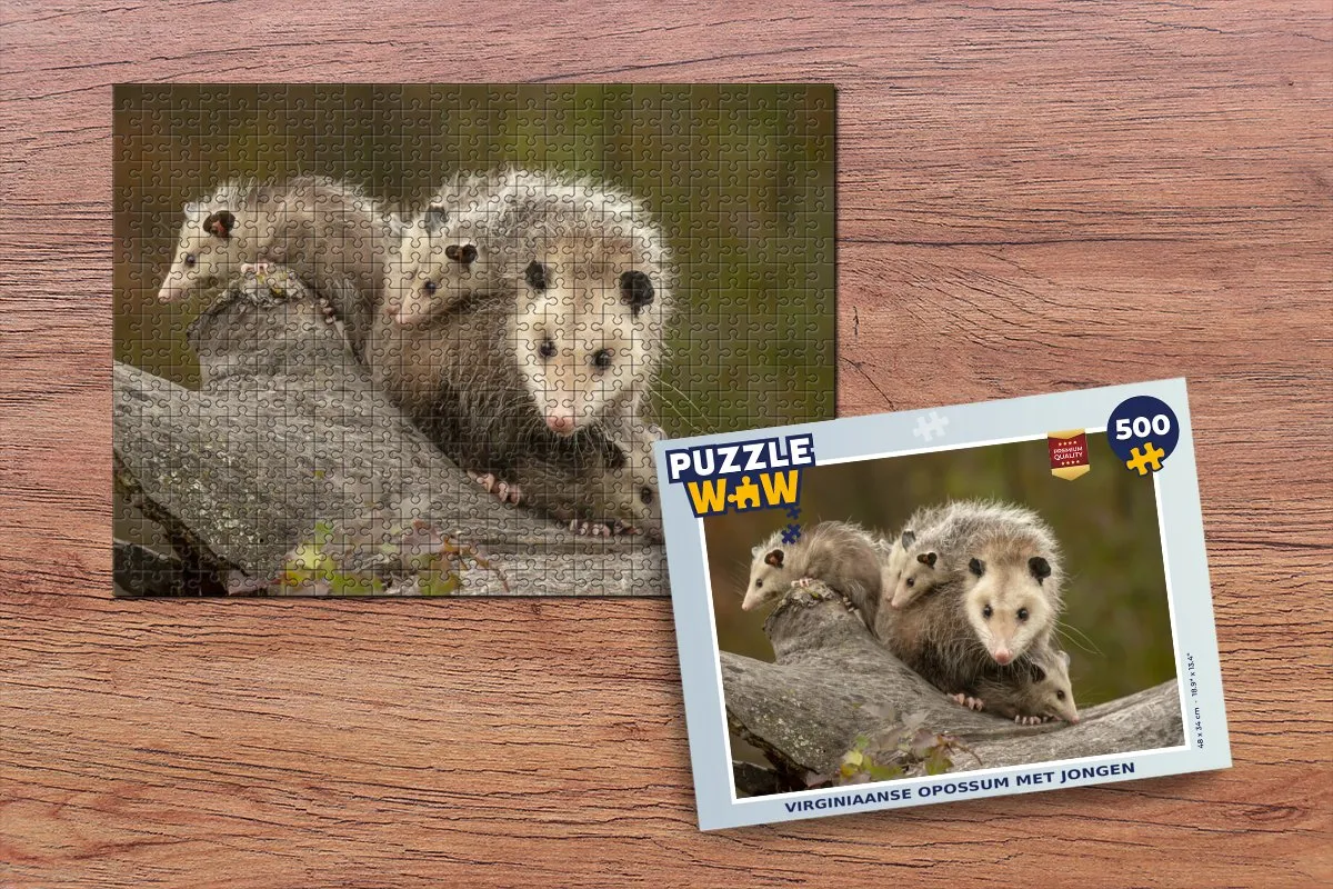PuzzleWow Virginiaanse opossum Legpuzzel 500 Stuks - Multicolor