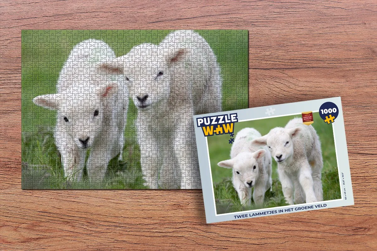PuzzleWow Legpuzzel Twee lammetjes 1000 Stuks - Multicolor