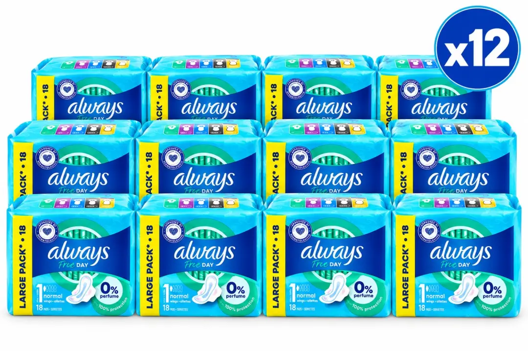 Always Free Day Normal Maandverband met Vleugels