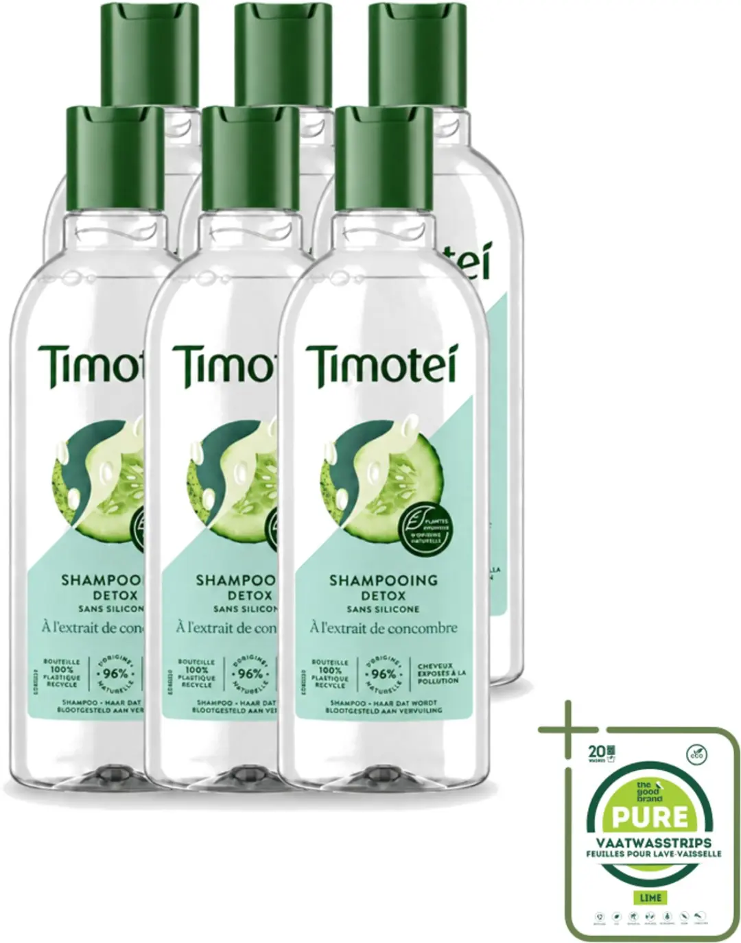 6 x Timotei