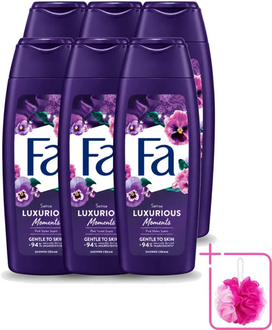 6 x Fa