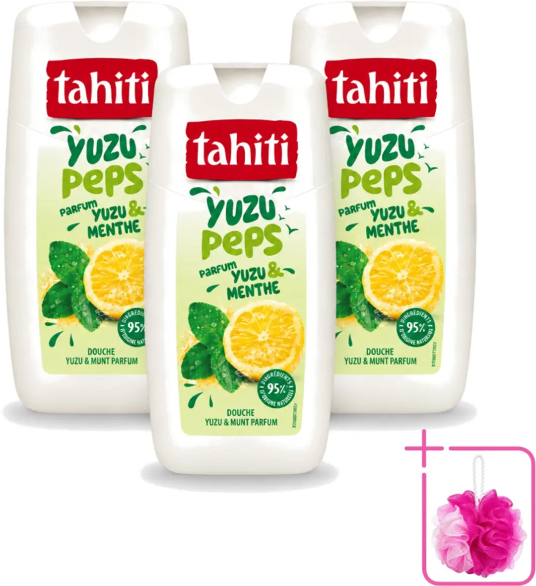 3 x Tahiti