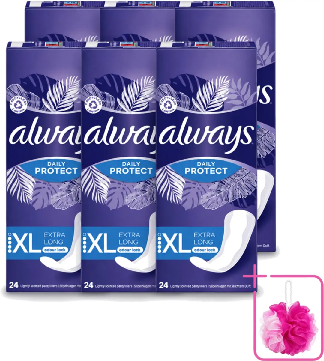 6 x Always