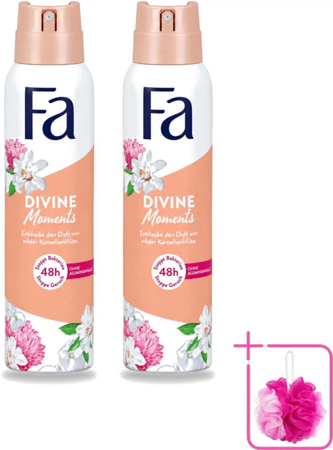 2 x Fa