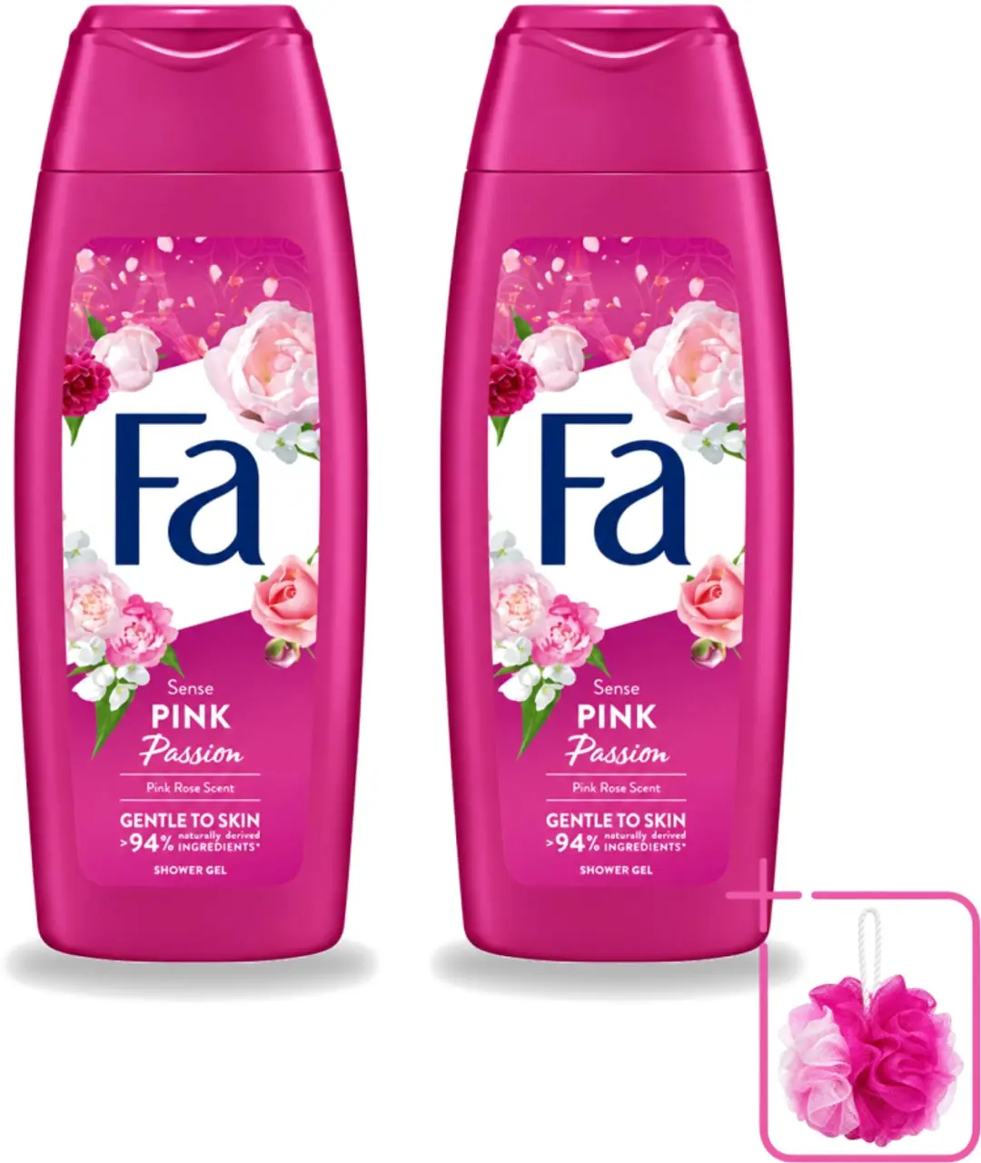 2 x Fa