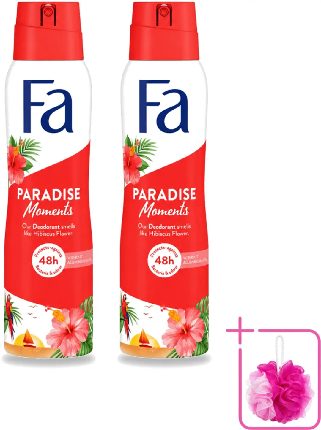 2 x Fa