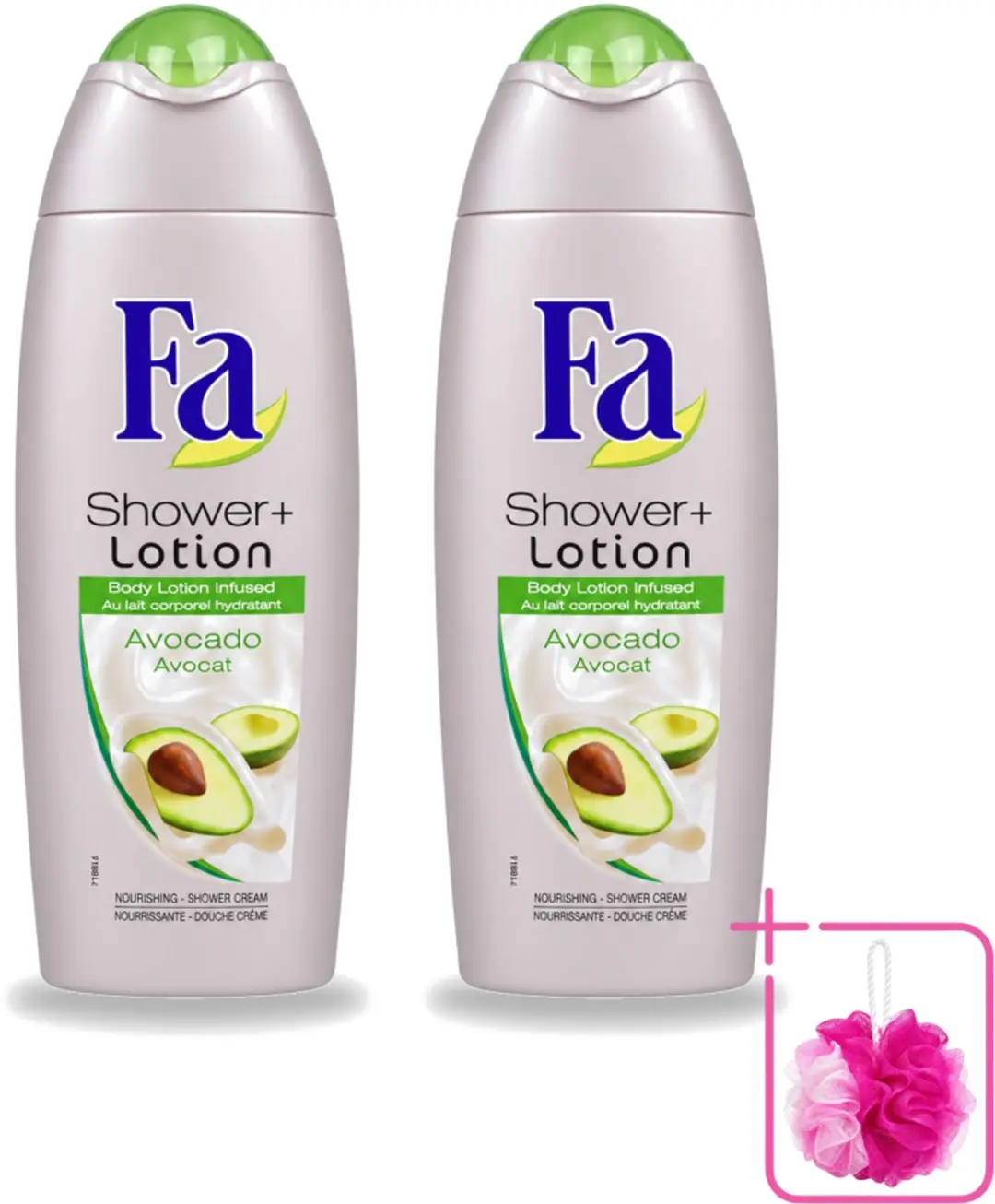 2 x Fa