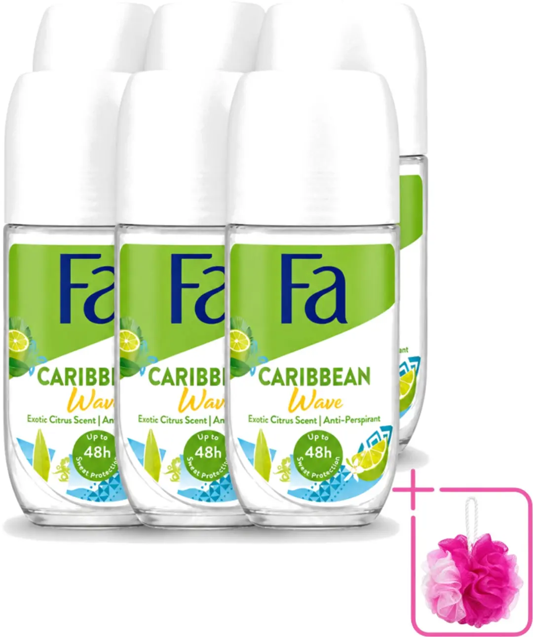 6 x Fa