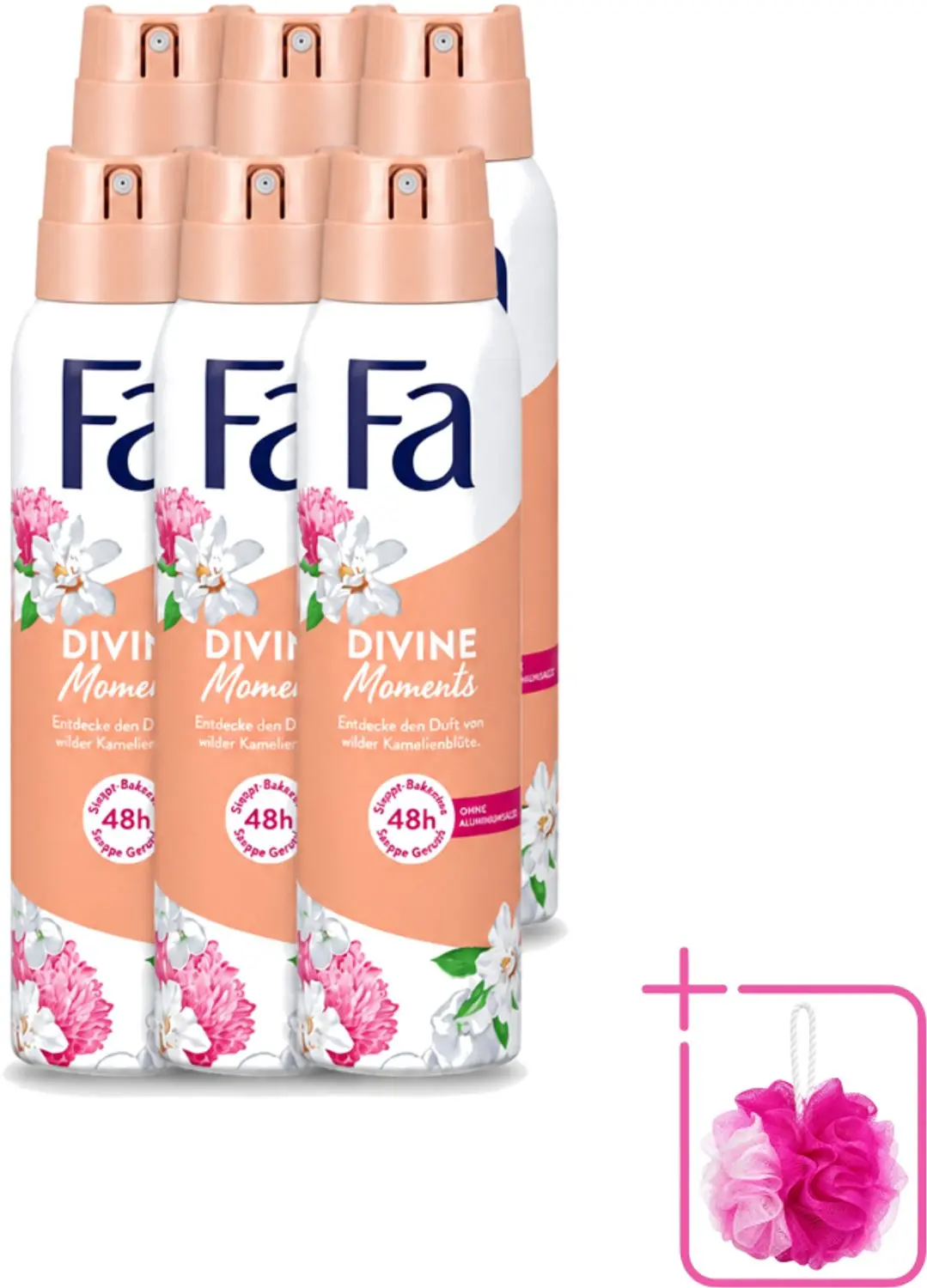 6 x Fa