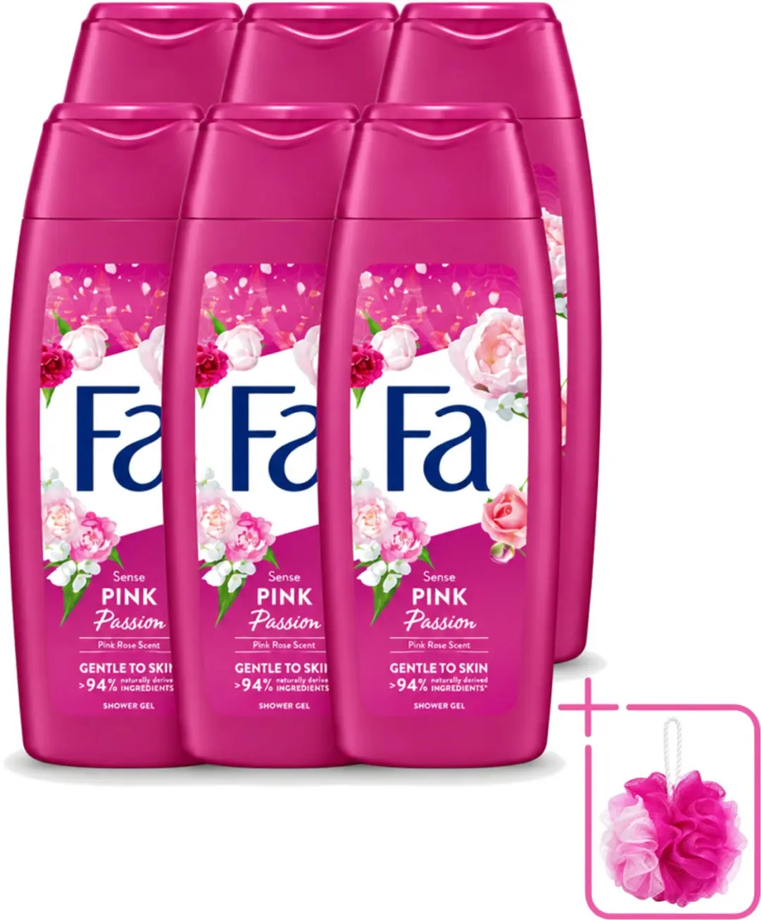 6 x Fa