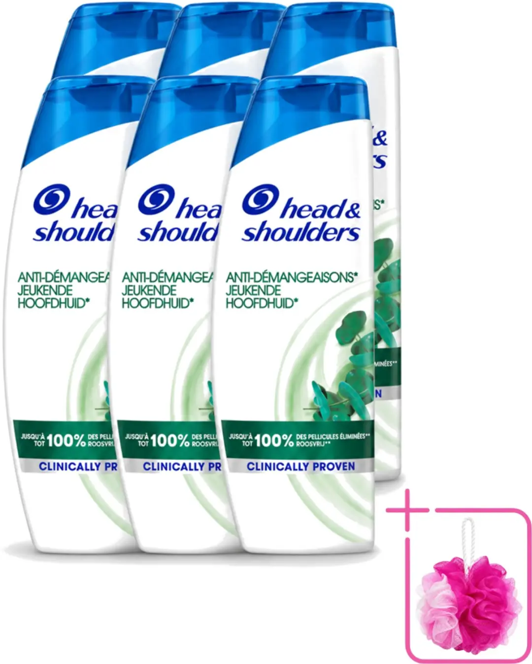 6 x Head & Shoulders