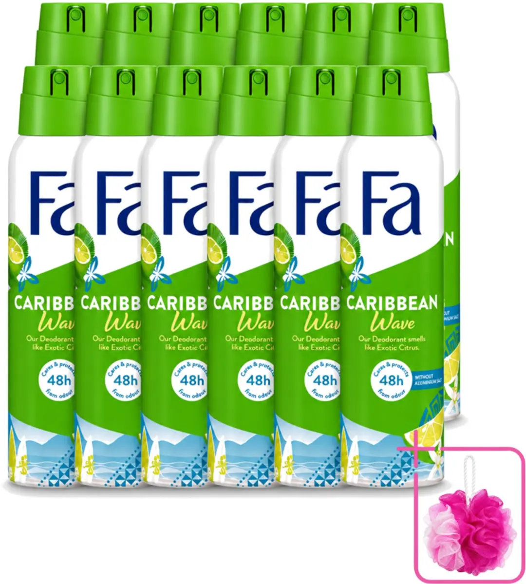12 x Fa