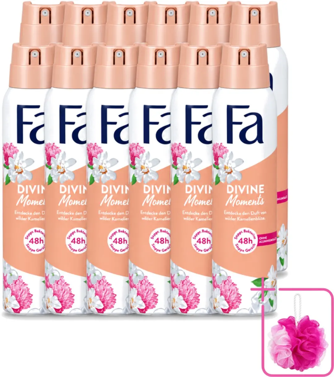 12 x Fa