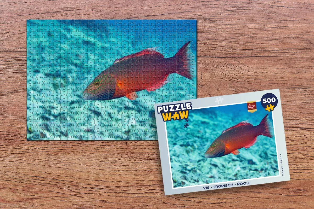 PuzzleWow Tropisch Vis Legpuzzel 500 Stuks - Multicolor