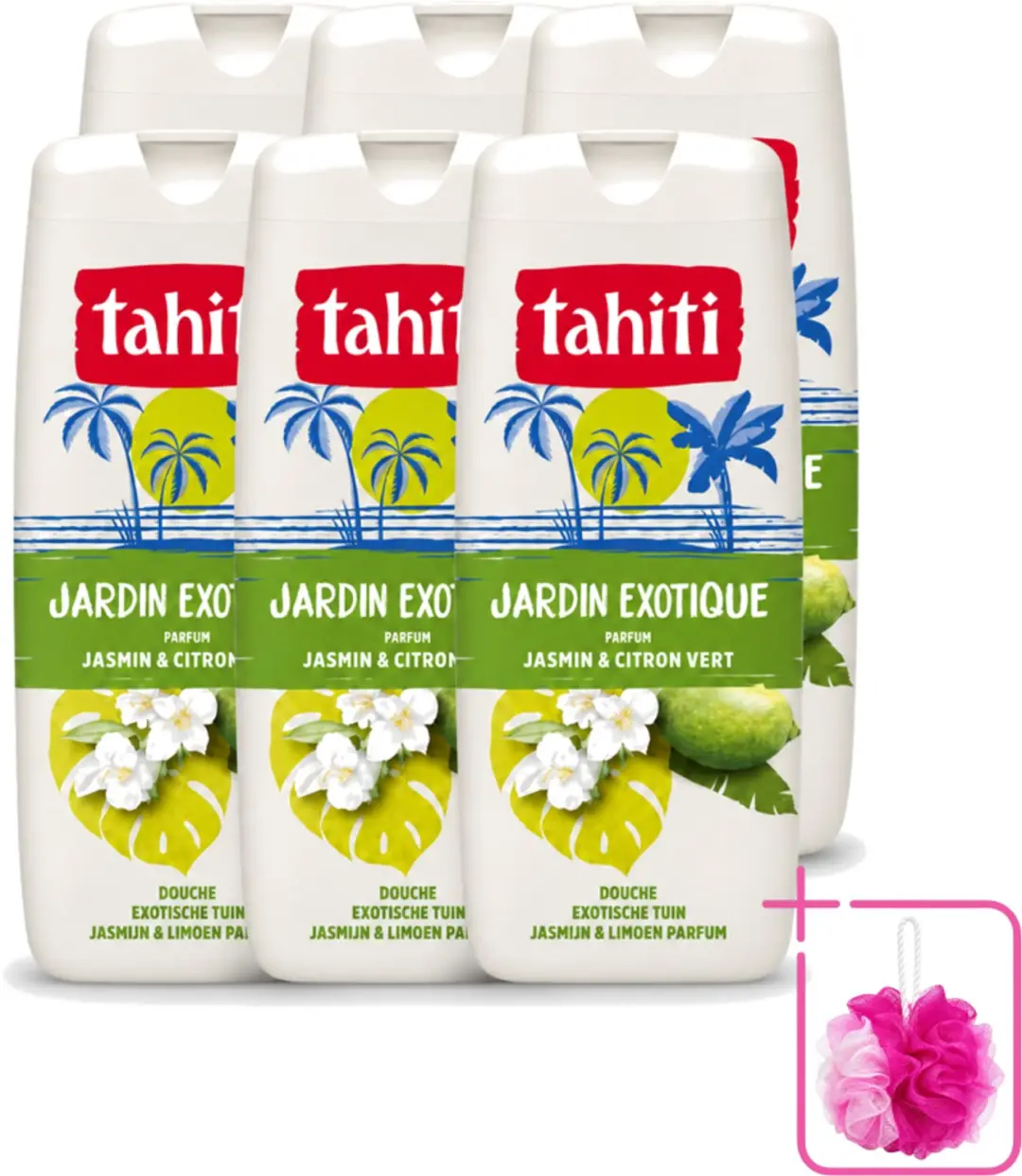 6 x Tahiti