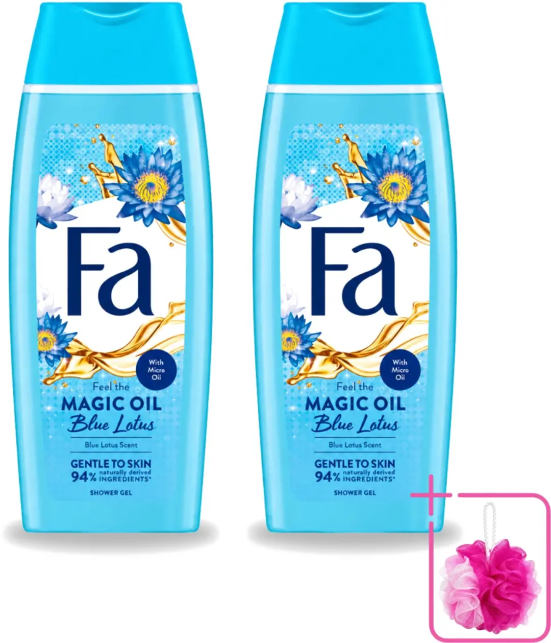 2 x Fa