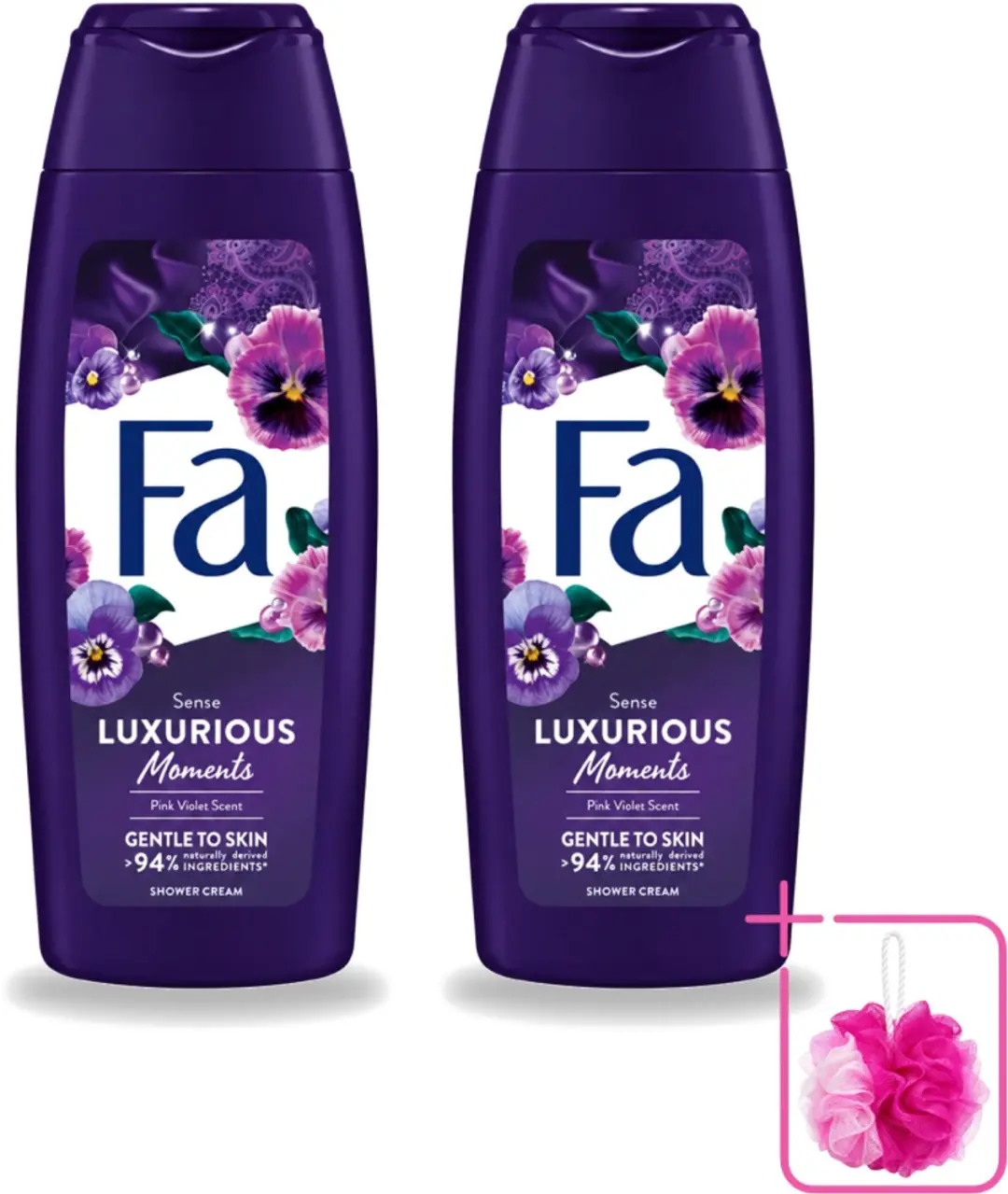 2 x Fa