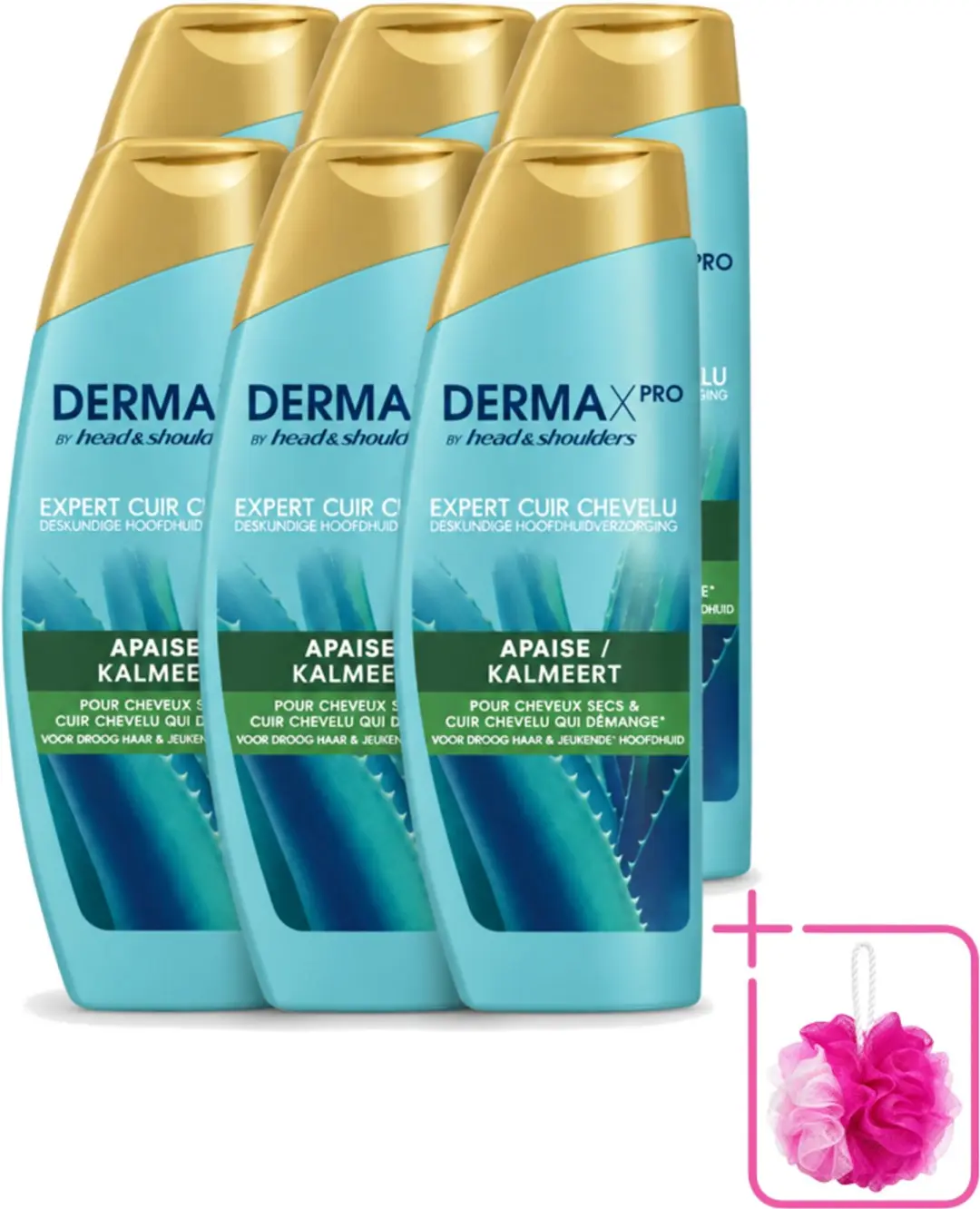 6 x Head & Shoulders