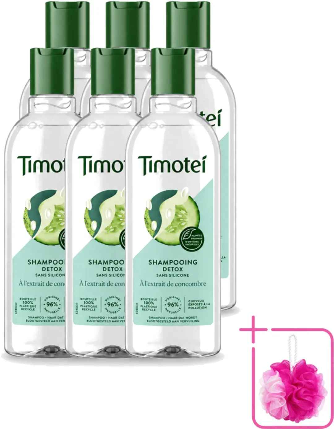 6 x Timotei