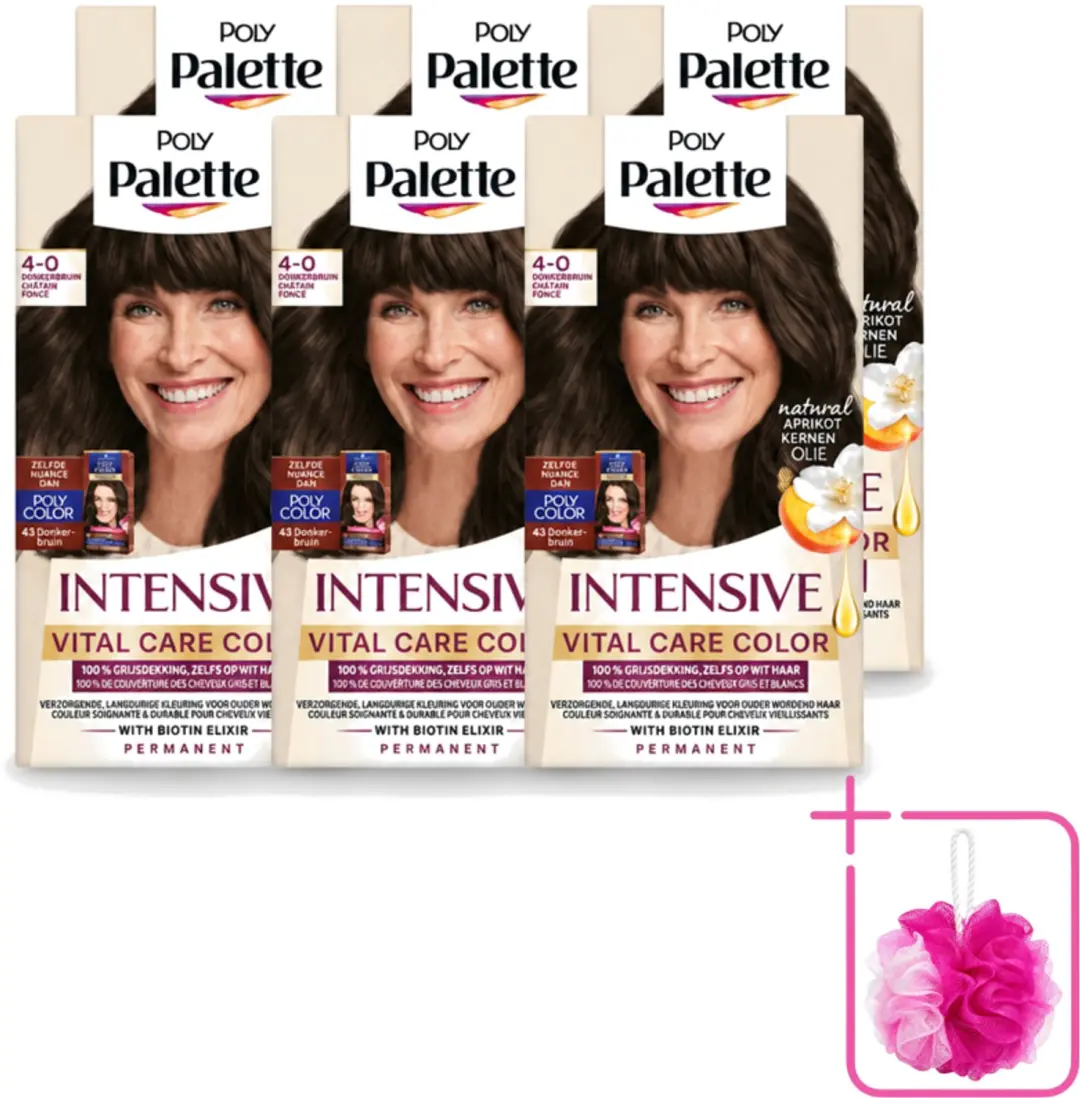 6 x Poly Palette